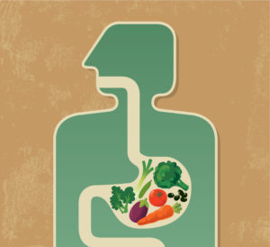 Tips on Optimizing Digestion